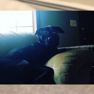 Meet your Posher, Amber